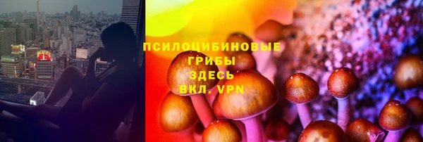 каннабис Магадан