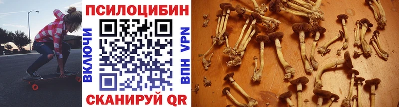 Галлюциногенные грибы Psilocybe Боровск