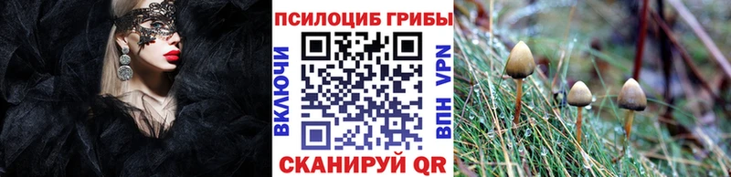 блэк спрут рабочий сайт  Боровск  Галлюциногенные грибы прущие грибы  где продают наркотики 